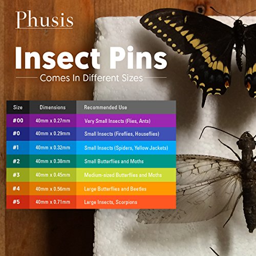 Phusis Stainless Steel Insect Pins | 300 Pieces| 3 Vials of 100 Pins | Includes Sturdy Storage Containers | for Entomology, Dissection, Butterfly Collections