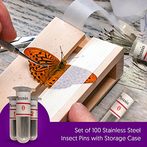 Phusis Stainless Steel Insect Pins | 300 Pieces| 3 Vials of 100 Pins | Includes Sturdy Storage Containers | for Entomology, Dissection, Butterfly Collections